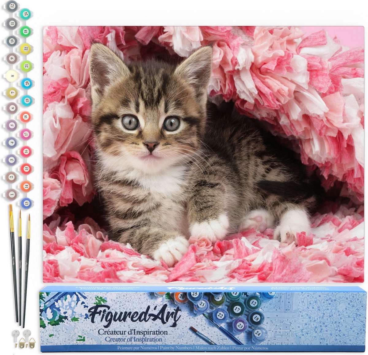 FiguredArt Schilderen op Nummer Volwassenen canvas Gecoat katje - Handwerk acrylverf Kit DIY Compleet - 40x50cm zonder frame